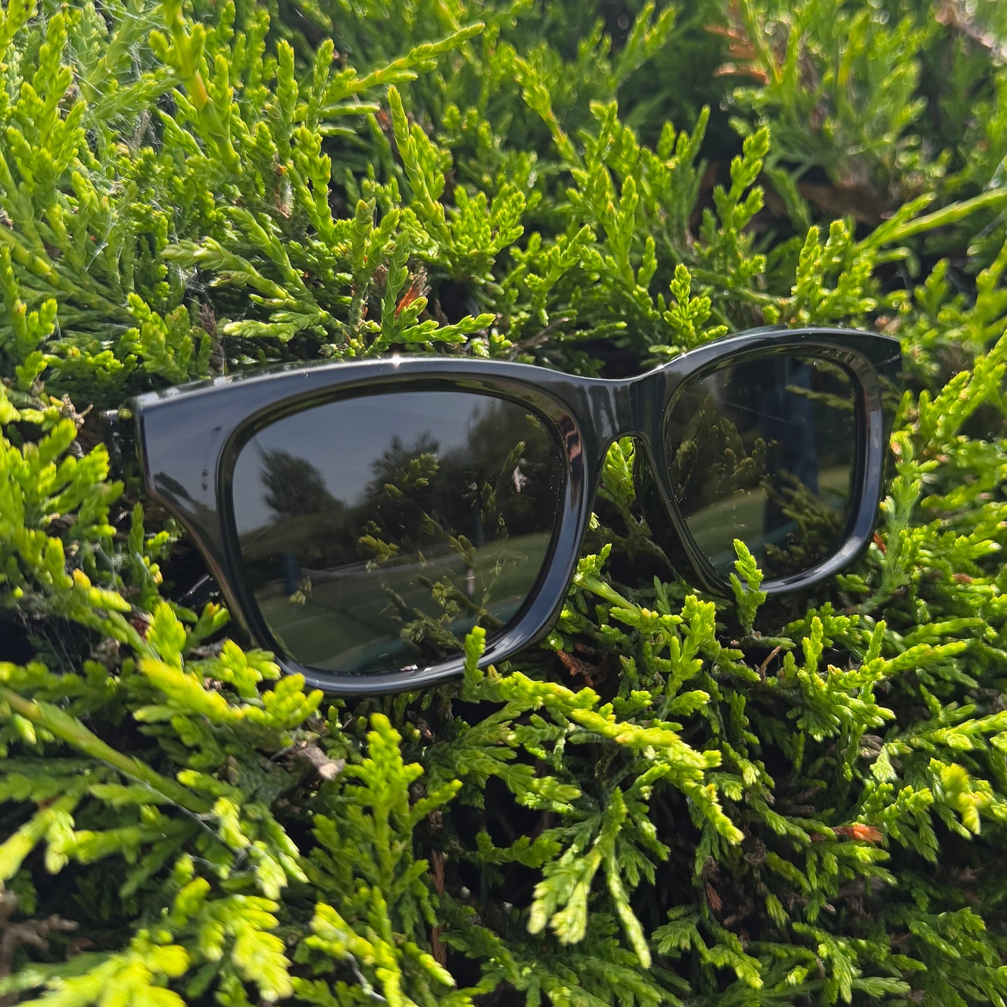 Square Frame Sunglasses